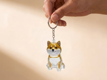 Llavero Recuerdo de tu Mascota